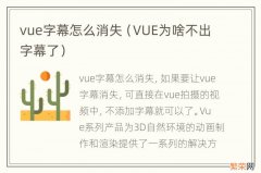 VUE为啥不出字幕了 vue字幕怎么消失