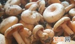 松菌怎么冷冻保存 新鲜松菌冷冻的保存方法