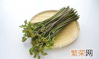 蕨菜应该怎样长期储存 怎样储存蕨菜