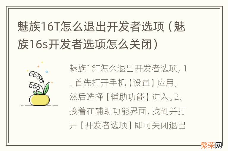 魅族16s开发者选项怎么关闭 魅族16T怎么退出开发者选项