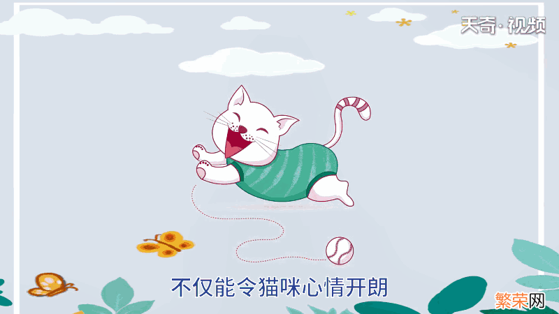 猫为什么掉毛很厉害 猫为何掉毛很厉害