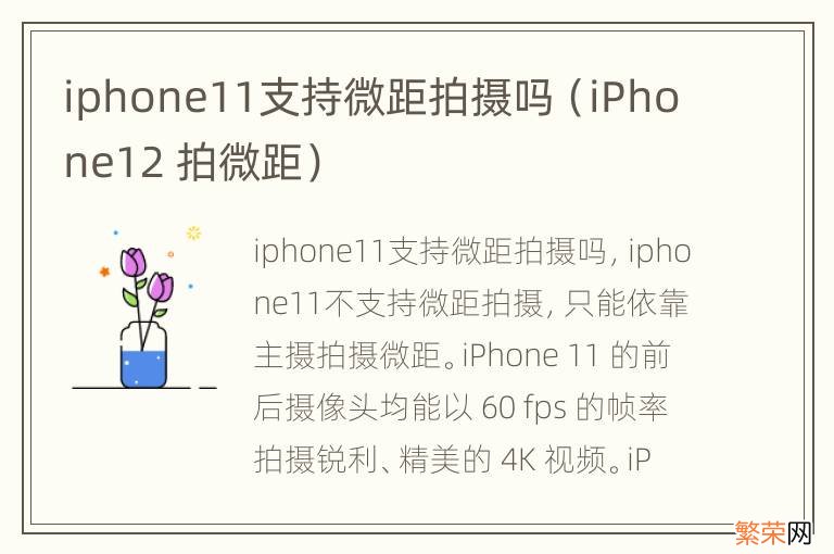 iPhone12 拍微距 iphone11支持微距拍摄吗