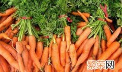 胡萝卜怎么种植 胡萝卜种植方法介绍