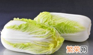 菜有虫子怎么办 菜有虫子如何解决