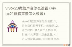 vivox21微信声音怎么设置 vivox23微信声音怎么设置