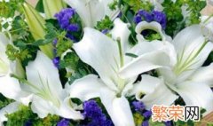 百合花香水的搭配方法 百合花香水的搭配方法图片