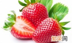 草莓怎么保存不会破皮发霉 草莓怎么保存不会破皮