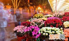 花卉营养土怎么配制 花卉营养土怎么配制比例