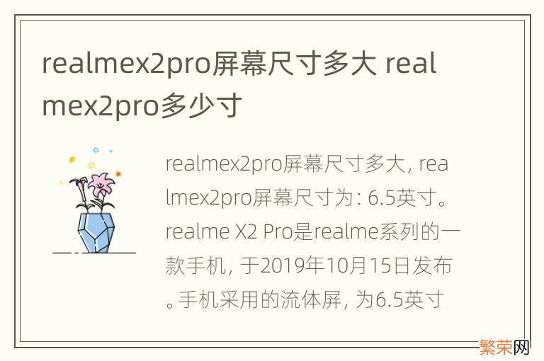 realmex2pro屏幕尺寸多大 realmex2pro多少寸