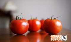 西红柿怎么保存 如何正确储存西红柿