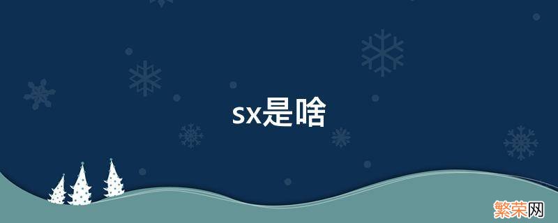 sx是啥 sx是啥车牌