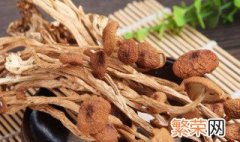 茶树菇怎么保存 茶树菇怎么保存,能保存多久