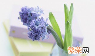 讴歌型吐槽是什么梗 讴歌型吐槽使用场景