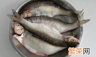 华子鱼去鳞方法 华子鱼去鳞方法视频