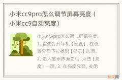 小米cc9自动亮度 小米cc9pro怎么调节屏幕亮度