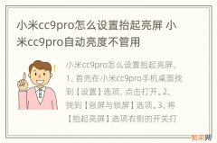 小米cc9pro怎么设置抬起亮屏 小米cc9pro自动亮度不管用