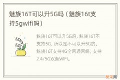 魅族16t支持5gwifi吗 魅族16T可以升5G吗