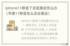 苹果11静音怎么还会震动 iphone11静音了还是震动怎么办