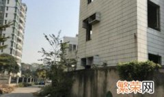 外墙砖脏了怎么解决 外墙砖脏了怎么解决好