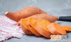 红薯低温储存保鲜方法 红薯低温储存保鲜方法视频