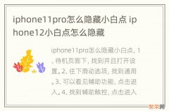 iphone11pro怎么隐藏小白点 iphone12小白点怎么隐藏