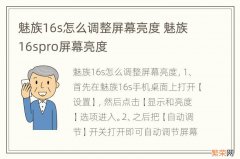 魅族16s怎么调整屏幕亮度 魅族16spro屏幕亮度