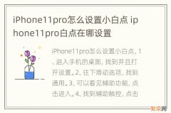 iPhone11pro怎么设置小白点 iphone11pro白点在哪设置