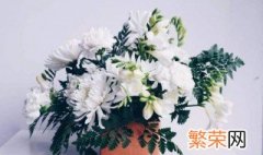 清明节祭祀扫墓送什么花比较好 清明节祭祀扫墓送什么花