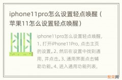 苹果11怎么设置轻点唤醒 iphone11pro怎么设置轻点唤醒