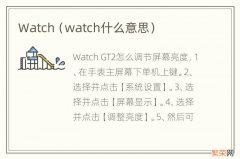 watch什么意思 Watch