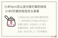 小米9pro怎么显示被拦截的短信 小米9拦截的短信怎么查看