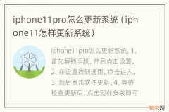 iphone11怎样更新系统 iphone11pro怎么更新系统