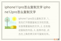 iphone11pro怎么复制文字 iphone12pro怎么复制文字