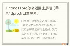 苹果12pro返回主屏幕 iPhone11pro怎么返回主屏幕