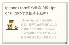 iphone12pro怎么拍动态照片 iphone11pro怎么动态拍照