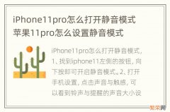 iPhone11pro怎么打开静音模式 苹果11pro怎么设置静音模式