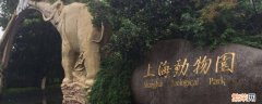 上海动物园在哪个区 上海动物园在哪个区上海野生动物园在哪个区