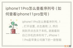 如何查看iphone11pro型号 iphone11Pro怎么查看序列号