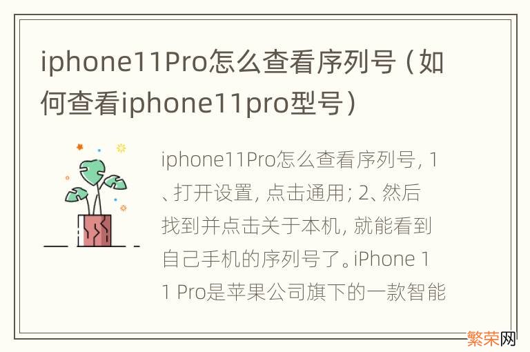 如何查看iphone11pro型号 iphone11Pro怎么查看序列号