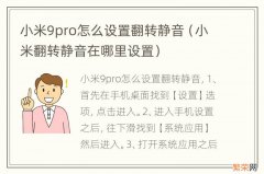 小米翻转静音在哪里设置 小米9pro怎么设置翻转静音