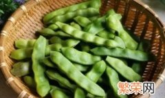 东北油豆角什么时候种植视频 东北油豆角什么时候种植