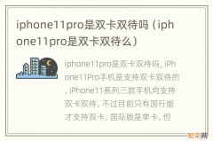 iphone11pro是双卡双待么 iphone11pro是双卡双待吗