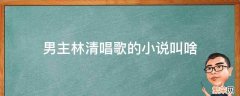 主角叫林清是一个歌手 男主林清唱歌的小说叫啥