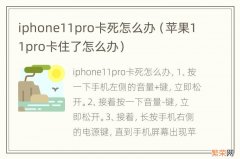 苹果11pro卡住了怎么办 iphone11pro卡死怎么办