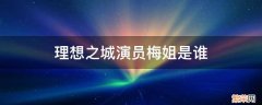 理想之城演员梅姐是谁 理想之城梅大姐是谁演的