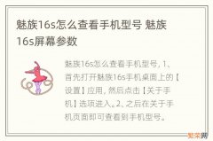 魅族16s怎么查看手机型号 魅族16s屏幕参数