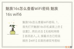 魅族16s怎么查看WiFi密码 魅族16s wifi6