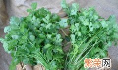 夏天的香菜怎样储存 夏天的香菜储存方法