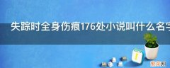 失踪时全身伤痕176处小说叫什么名字 失踪时全身伤口176处小说