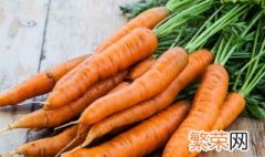 胡萝卜移栽方法 移苗后如何缓苗